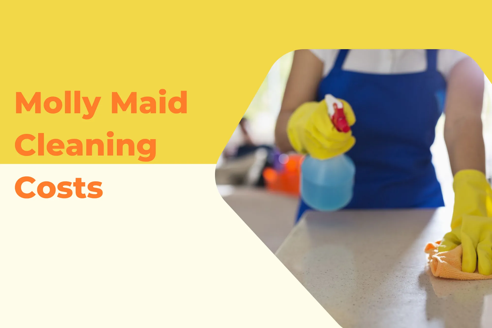 Molly Maid Cleaning Costs