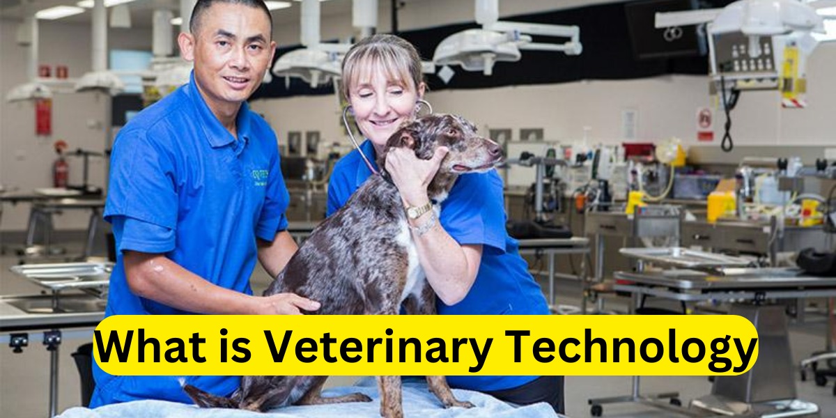 What is Veterinary Technology